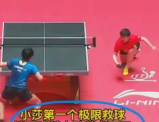 PG电子试玩-包含印尼羽毛球队绝地反击法国羽毛球队，马琳制霸全场的词条