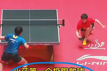 PG电子试玩-包含印尼羽毛球队绝地反击法国羽毛球队，马琳制霸全场的词条